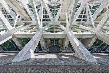 Ciudad de las Artes y las Ciencias van Tilly Meijer