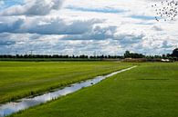 Stream through the meadow by Werner Lerooy thumbnail