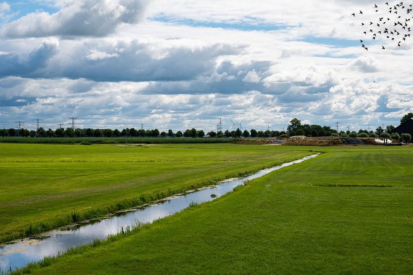 Stream through the meadow by Werner Lerooy