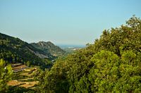 Blick auf Orangenplantagen an der Mittelmeerküste Spaniens zwischen den Bergen. Am Horizont das Mitt