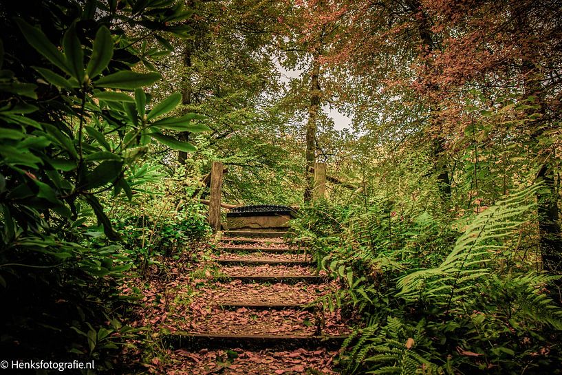 Sonsbeek Park by Henk Veenstra