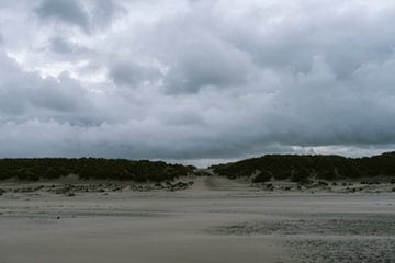 Strand De Cocksdorp Texel van Suzanne Spijkers