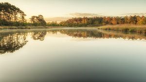 Frühmorgendliche Reflektionen von Lex Schulte