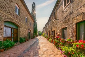 Straße in Sovana, Blumen und altes Gebäude. Toskana, Italien