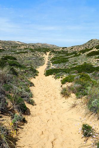 Freiheit am Atlantik 🌊🇵🇹 Der Fishermen’s Trail – goldene Klippen, tiefblaues Meer und endlose Weite. von Miriam Schwarzfischer Fotografie