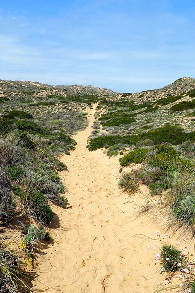 Freiheit am Atlantik 🌊🇵🇹 Der Fishermen’s Trail – goldene Klippen, tiefblaues Meer und endlose Weite. von Miriam Schwarzfischer Fotografie