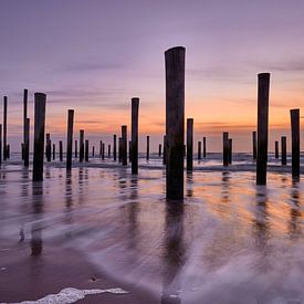 Palendorp Petten by Peter de Jong