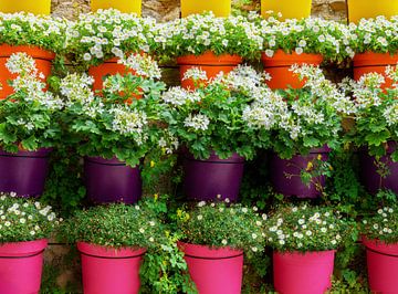 Un jardin vertical avec des pots de fleurs colorés