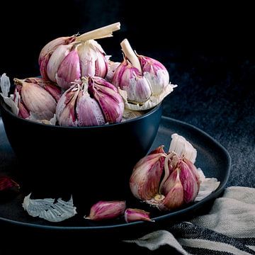 Still life, Garlic (Allium sativum) square 1:1