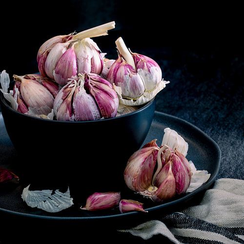 Still life, Garlic (Allium sativum) square 1:1 by Oda Slofstra