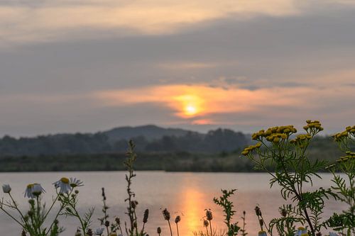 sprawl along the Rhine