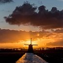 Zonsopgang met windmolen in de polder van Arjen Schippers thumbnail