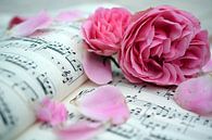 Rose Romance by Bettina Schnittert thumbnail
