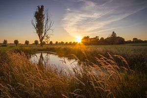 Serenity by Sander Meertins