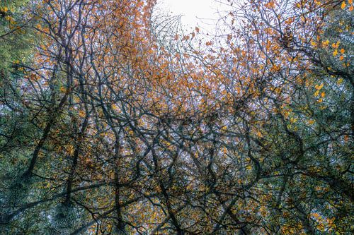 Das Pantheon im Wald.