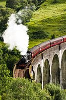 De Jacobite train