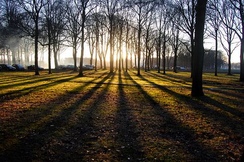 Zonsondergang  tussen de bomen