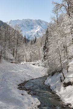 Winter in de bergen van Michael Valjak