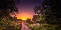 Zonsopgang nationaal park Sallandse heuverug van Martijn van Steenbergen thumbnail