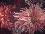 Moody Dahlia's van Marina de Wit thumbnail