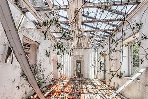 Verlaten landhuis Curacao, Urbex van Keesnan Dogger Fotografie