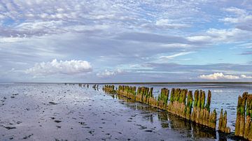 Wattenmeer - Moddergat vor Sonnenuntergang II von Teun Ruijters