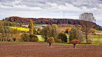 Heuvelland @ Wijlre van Rob Boon