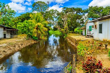 Plantage Katwijk bij Paramaribo in Suriname van René Holtslag