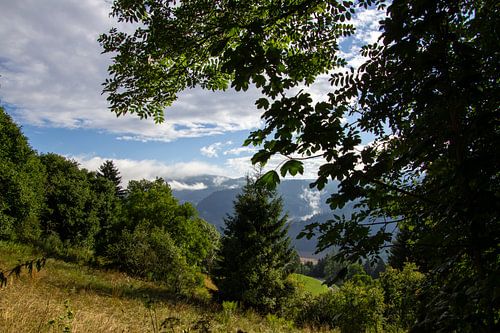 Uitzicht over weiland, bos en het dal tussen de Oostenrijkse bergen