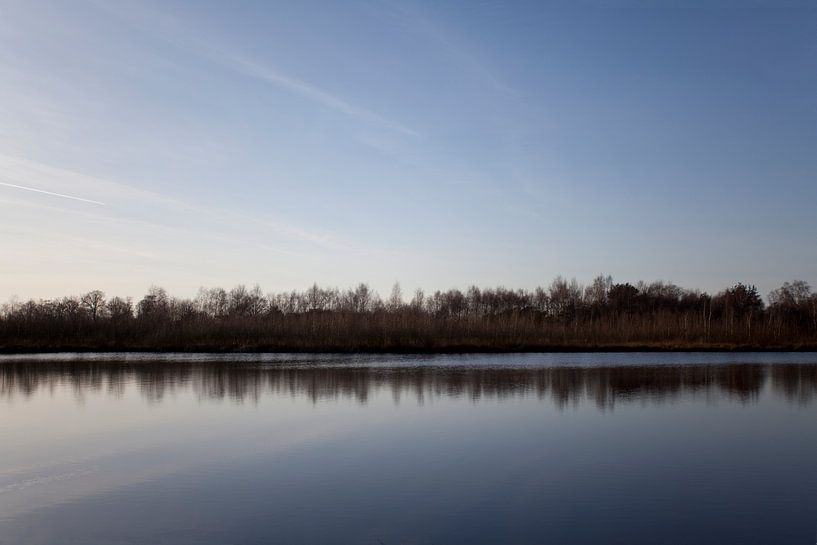 View in De Peel, Limburg by Kees van Dun