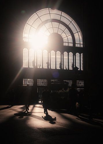 Silhouettes in Budapest