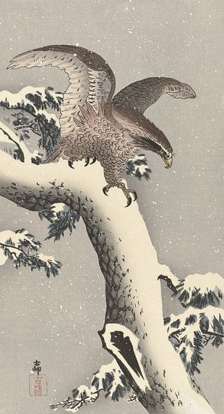 Eagle on snowy pine tree of Ohara Koson by Gave Meesters