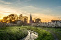 Sonnenuntergang im Alten Land