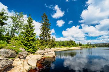 Uitzicht op de Oderteich vijver in het Harz gebergte in Duitsland van Andreas Völkel
