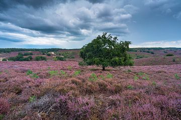 Orage sur la Posbank sur Rick Kloekke