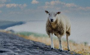 Ein Schaf am Meer