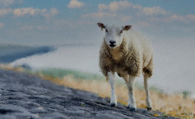 Un mouton au bord de la mer par Digitale Schilderijen