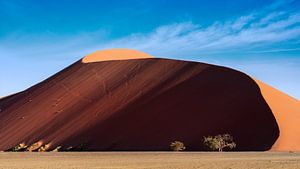 Dune 45