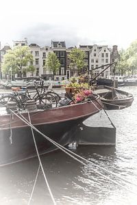 AMSTERDAM sur Melanie Viola