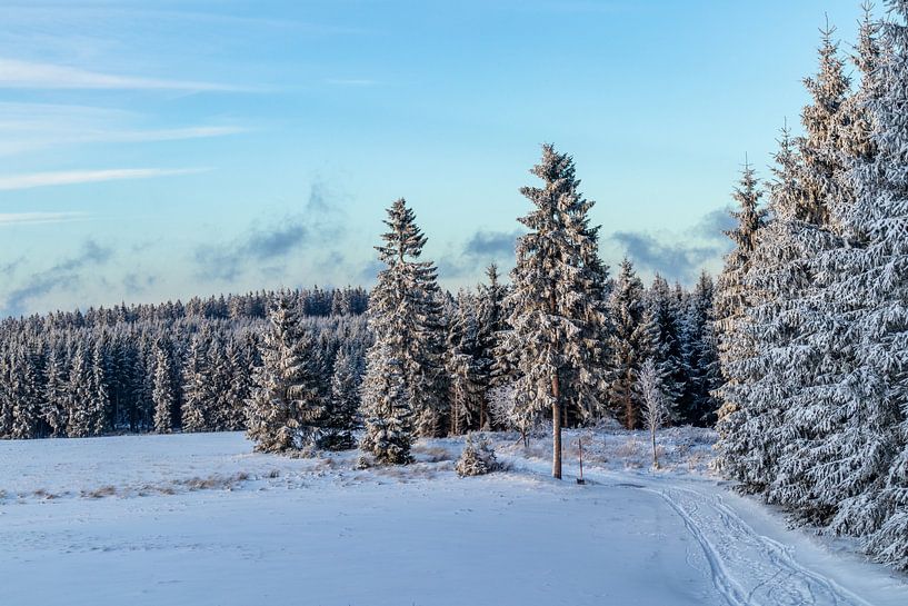 First winter hike on the Rennsteig by Oliver Hlavaty