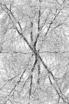 Verschneite Baumkunst von Klaartje Majoor