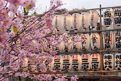 April in Tokio