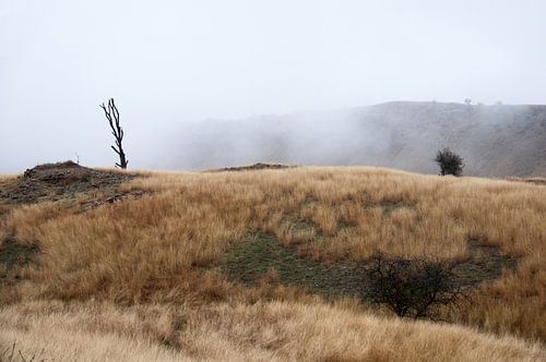 Landschap in de mist in Zuidoost Georgië