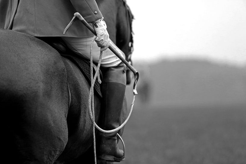 Whipp 2 van Wybrich Warns