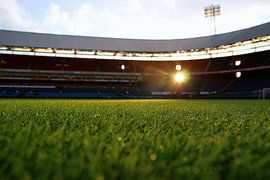 The Grass by Remy De Milde