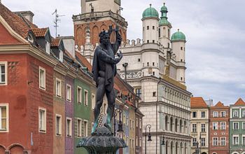 Visit Poznan's Town Hall and Statue in Old Market, Poland