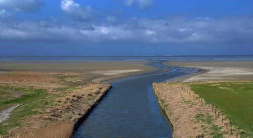 Waddengebied bij de Zwarte Haan