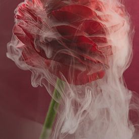 Liefdevol rood: Omarmt door de witte rook van Marjolijn van den Berg