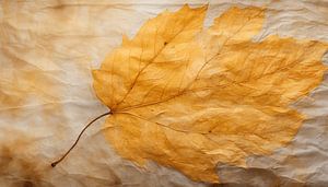 Die Feinheiten der Natur festgehalten