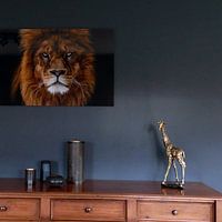 Klantfoto: kwaaie leeuw kijkt mij recht aan van nathalie Peters Koopmans, op aluminium